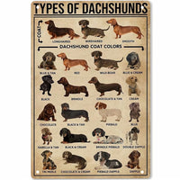 Pet Lovers Wall Decoration Sausage Dog